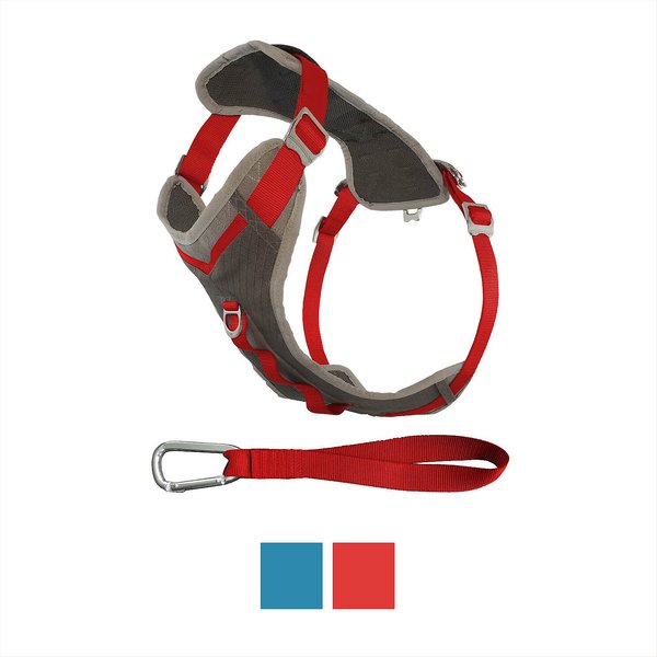 Journey dog harness sale