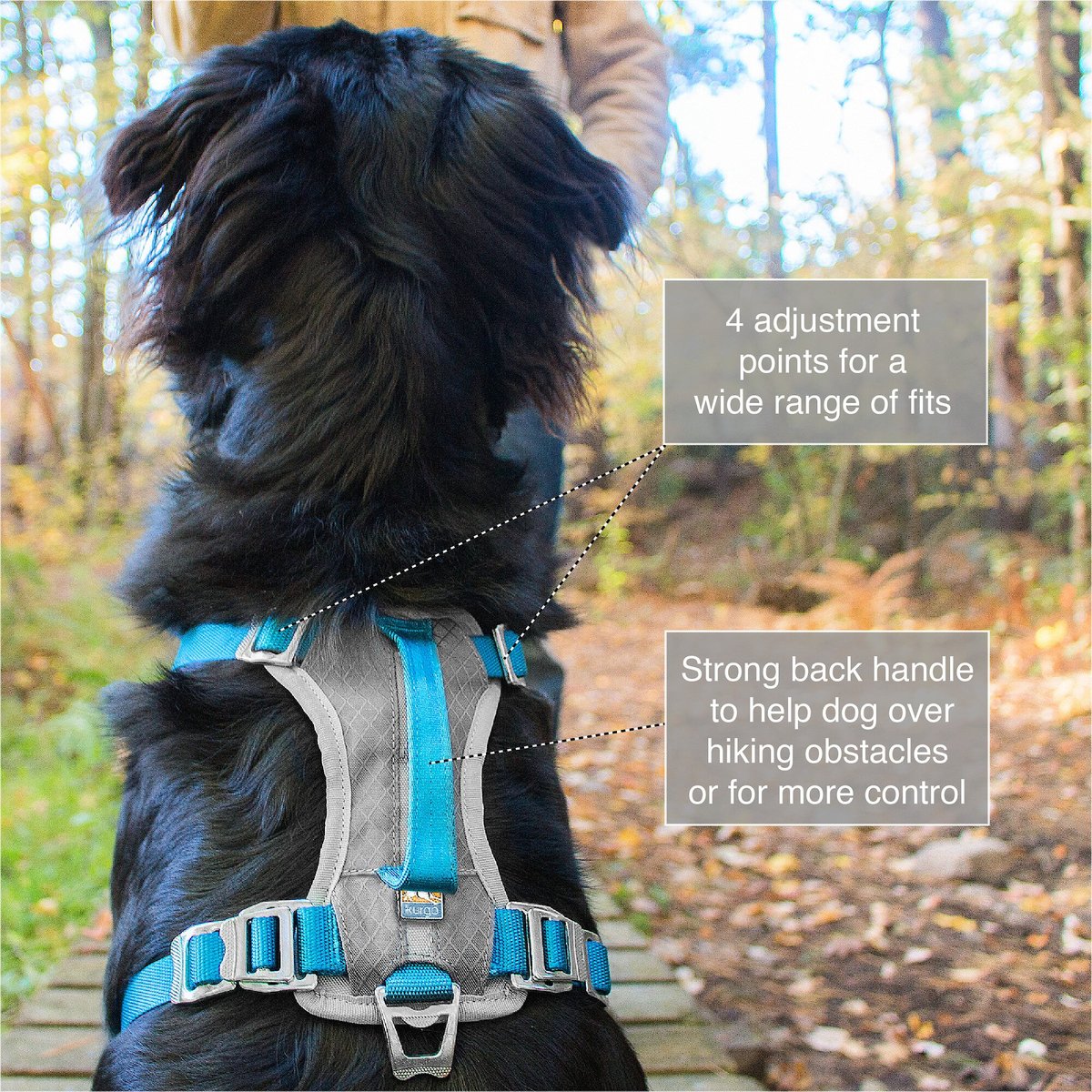 Journey shop harness kurgo