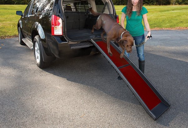 Kurgo Wander Dog Ramp