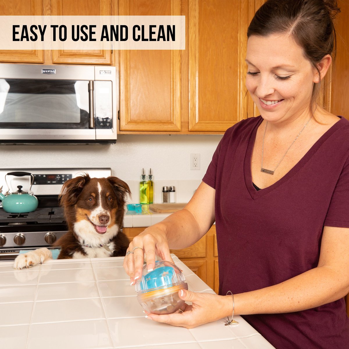 PET ZONE IQ Treat Dispenser Ball Dog Toy, 4in