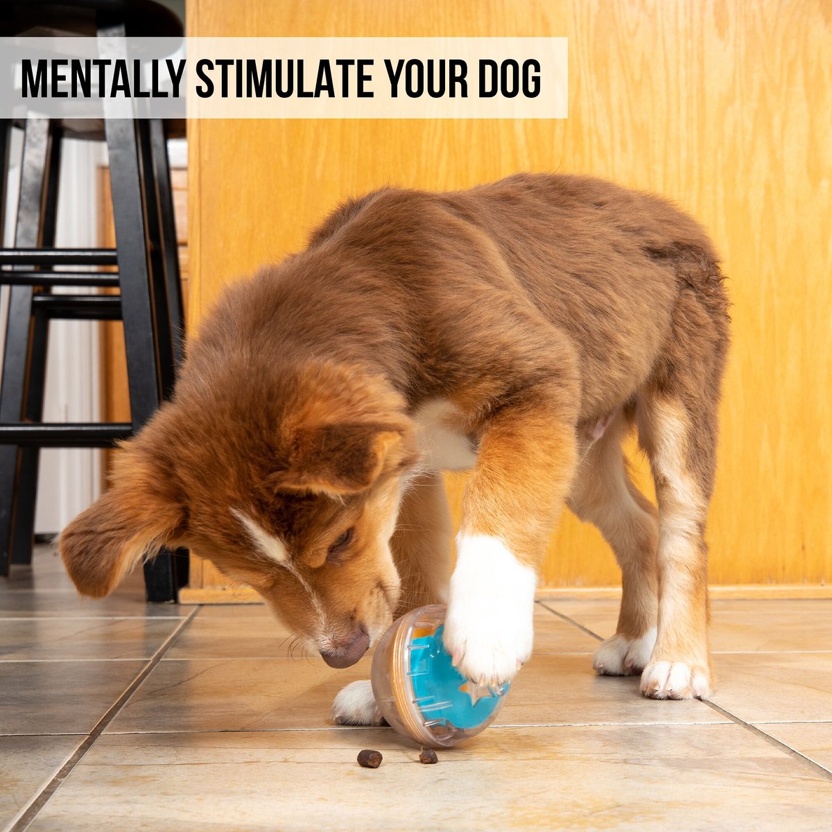 PET ZONE IQ Treat Dispenser Ball Dog Toy, 4in