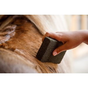 Farnam Slick 'N Easy Horse Grooming Block