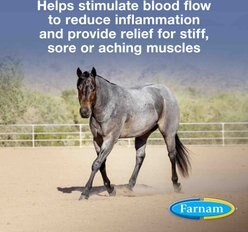 Farnam Vetrolin Sore Muscle & Joint Pain Relief Horse Liniment Concentrate, 1-qt bottle slide 2 of 9