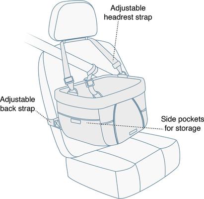 Show full view: Kurgo Heather Dog Booster Seat, Heather slide 5 of 9