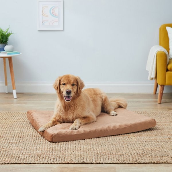 Discontinued PETMAKER Foam Pillow Dog Bed w/Removable Cover, Clay