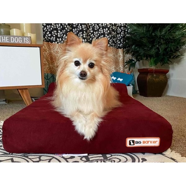 K&H PET PRODUCTS Superior Orthopedic Dog Bed, Gray, Paw Bone Print