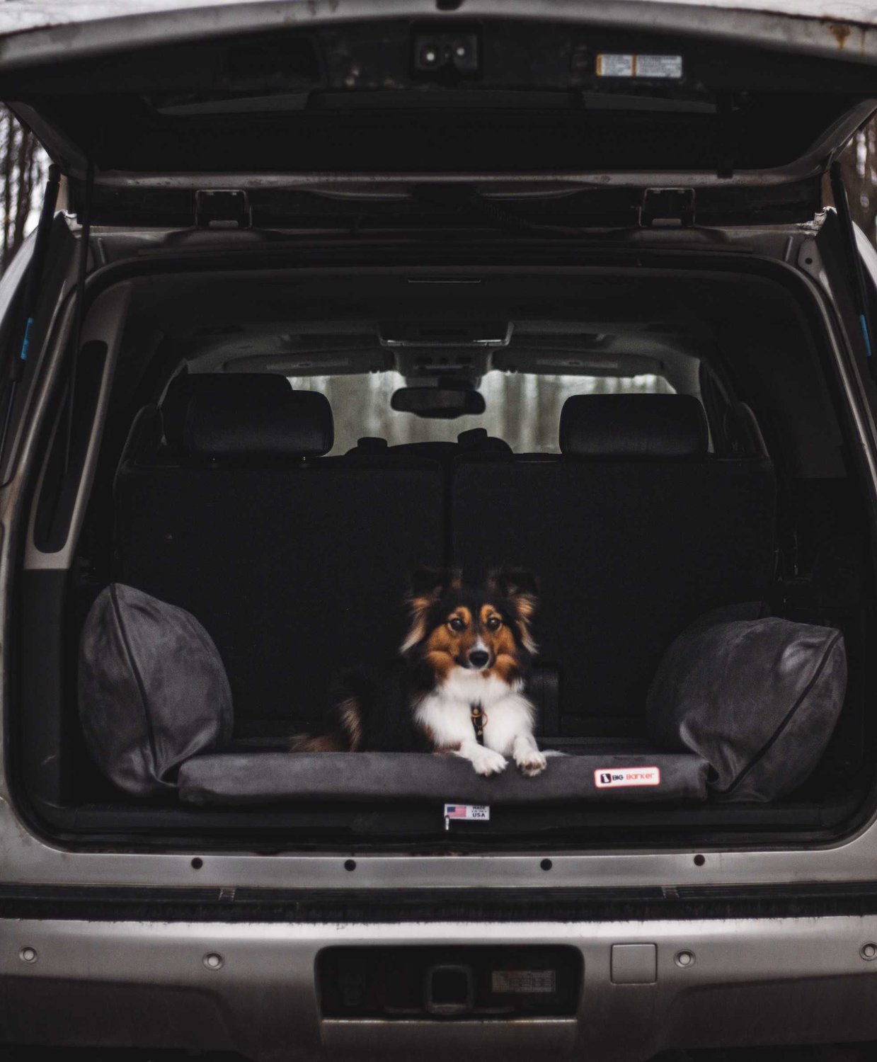 jeep backseat bed