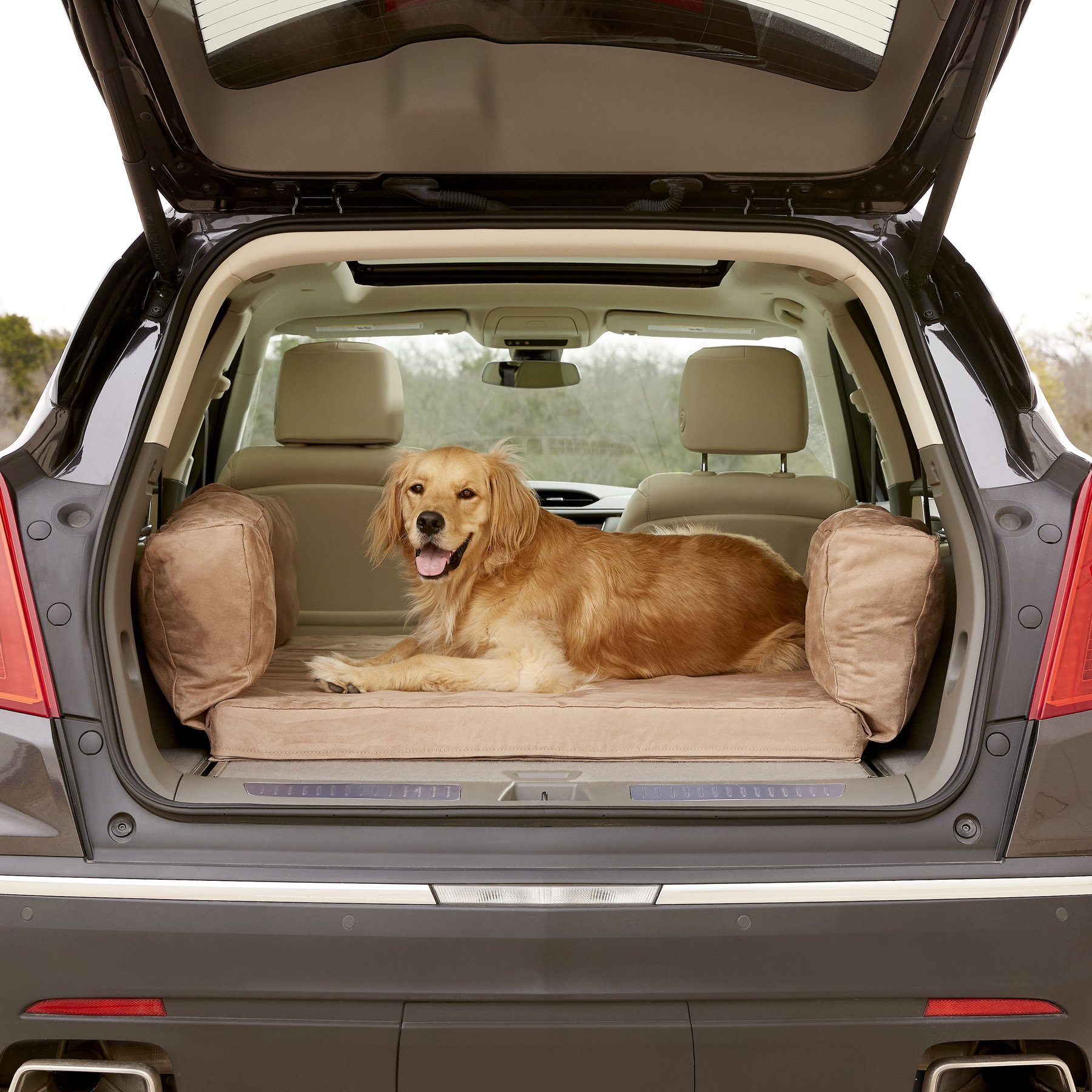 Dog bed for back of clearance suv