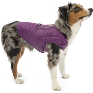 chewy carhartt dog coat