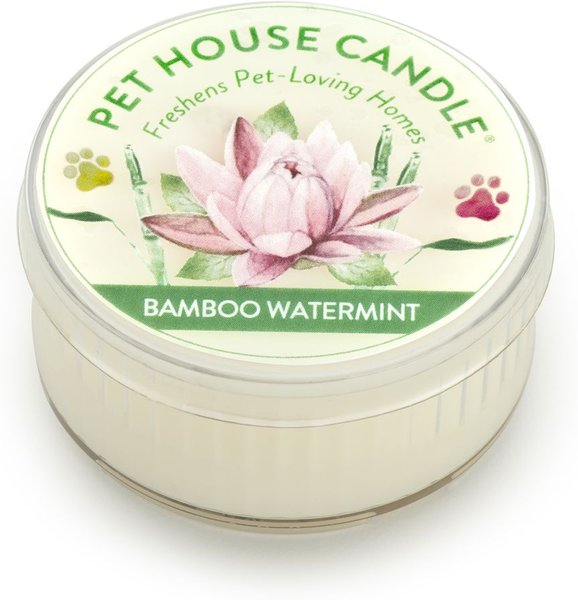 Pet House Bamboo Watermint Natural Plant-Based Mini Candle, 1.5-oz jar slide 1 of 3
