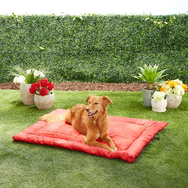 Kurgo Loft Wander Pillow Dog Bed, Chili Red, Large slide 1 of 8