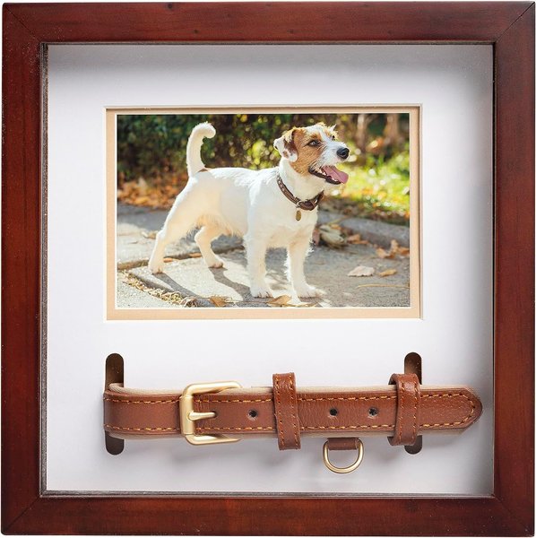 Pearhead Dog Collar Frame, 3 x 4.5 in slide 1 of 8