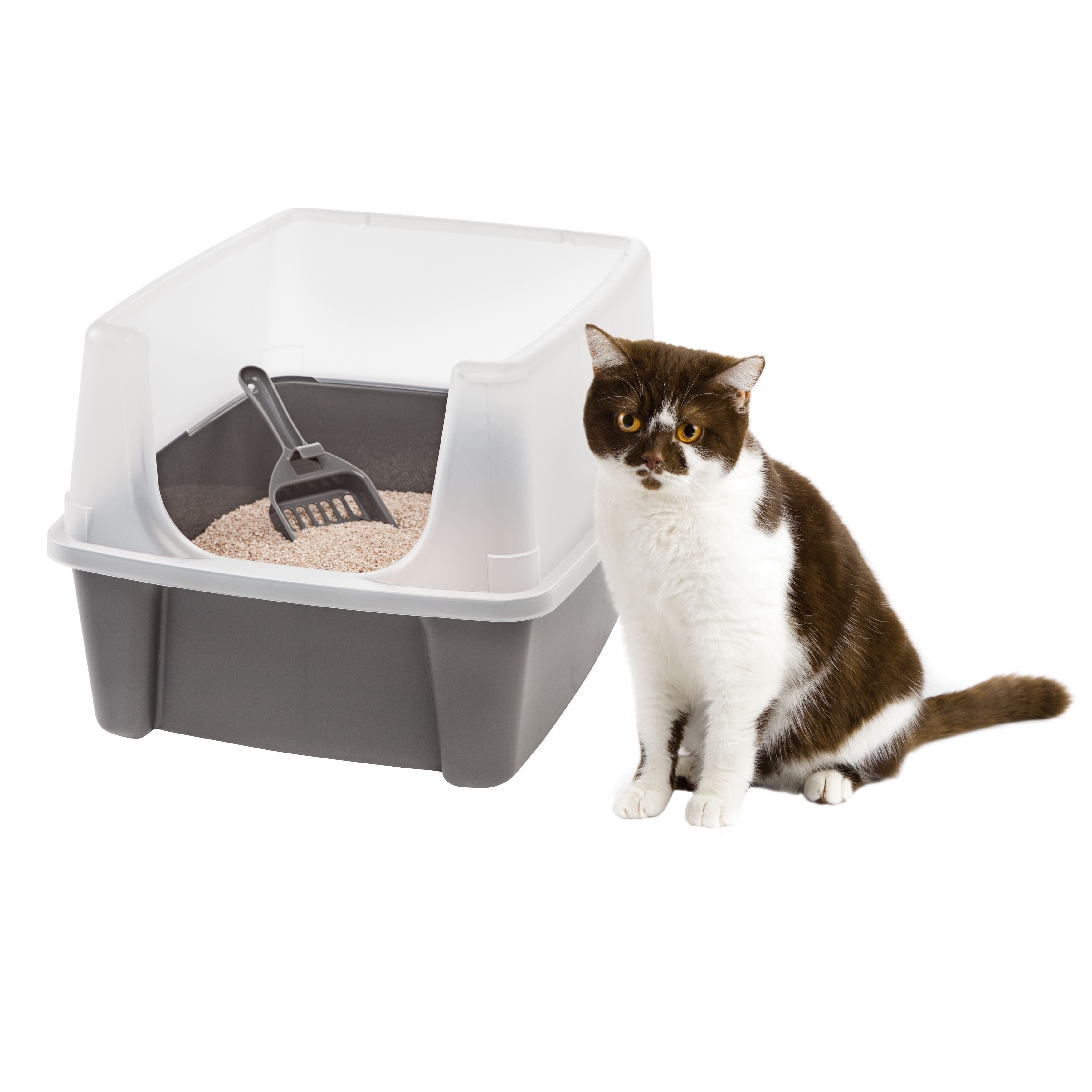 IRIS USA Open Top Cat Litter Box w/Scatter Shield Customer Questions