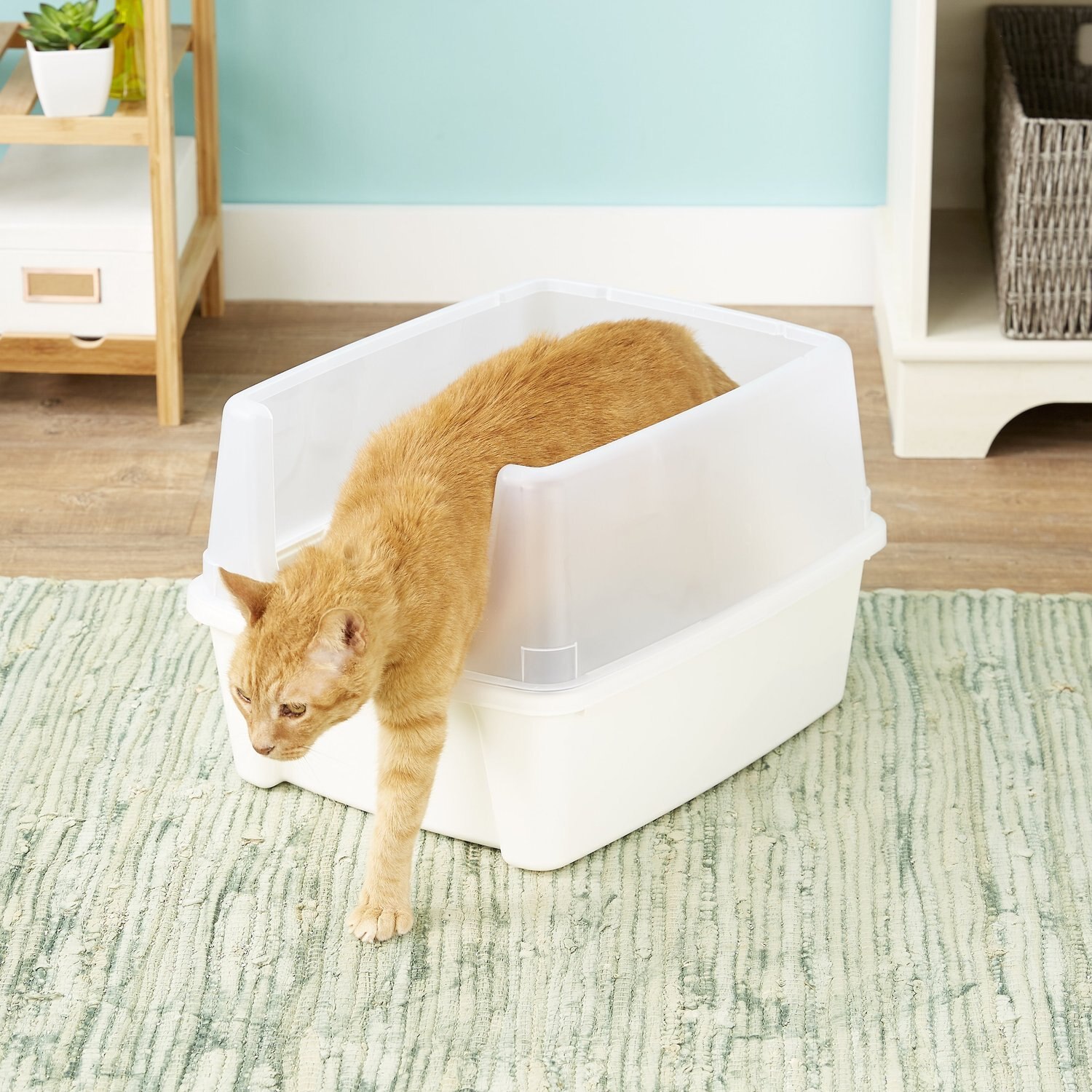 IRIS Open Top Litter Box with Scatter Shield & Scoop, White