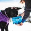 Show in main carousel: Kurgo Zippy Travel Polyester Dog Bowl, Blue, 6-cup slide 4 of 8