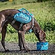 Show in main carousel: Kurgo Zippy Travel Polyester Dog Bowl, Blue, 6-cup slide 5 of 8