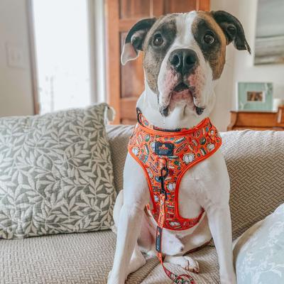 Show full view: Sassy Woof Garfield Dog Harness, Small: 16 to 21-in chest slide 4 of 5