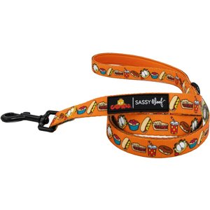 Sassy Woof Garfield Dog Leash, One Size: 5-ft long, 1-in wide