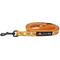 Show in main carousel: Sassy Woof Garfield Dog Leash, One Size: 5-ft long, 1-in wide slide 3 of 6