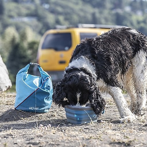 Kurgo Kibble Carrier Travel Dog Food Container