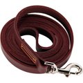 Logical Leather Dog Leash, Brown, 6-ft