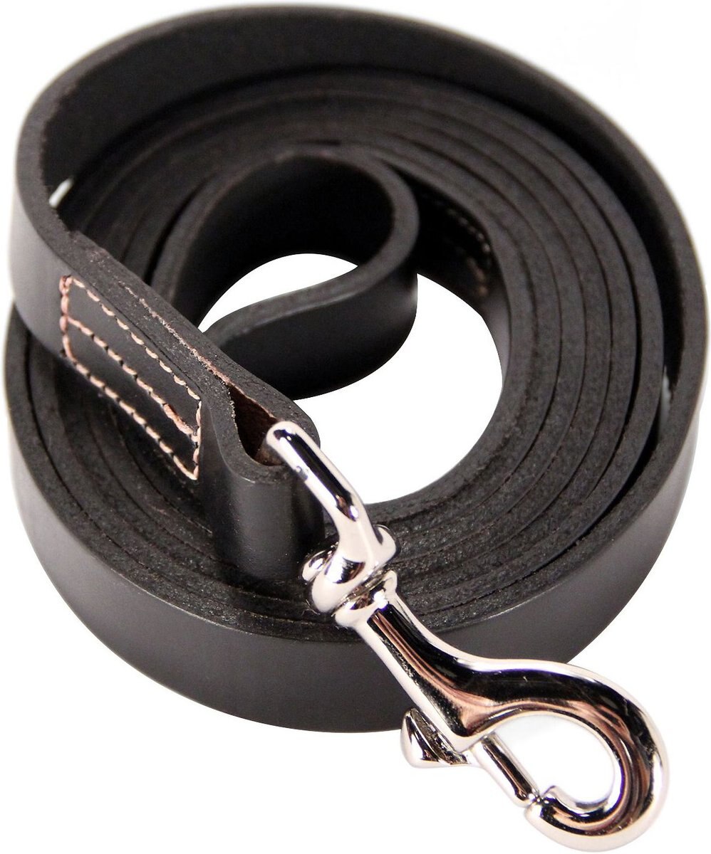 Logical leather hotsell dog leash