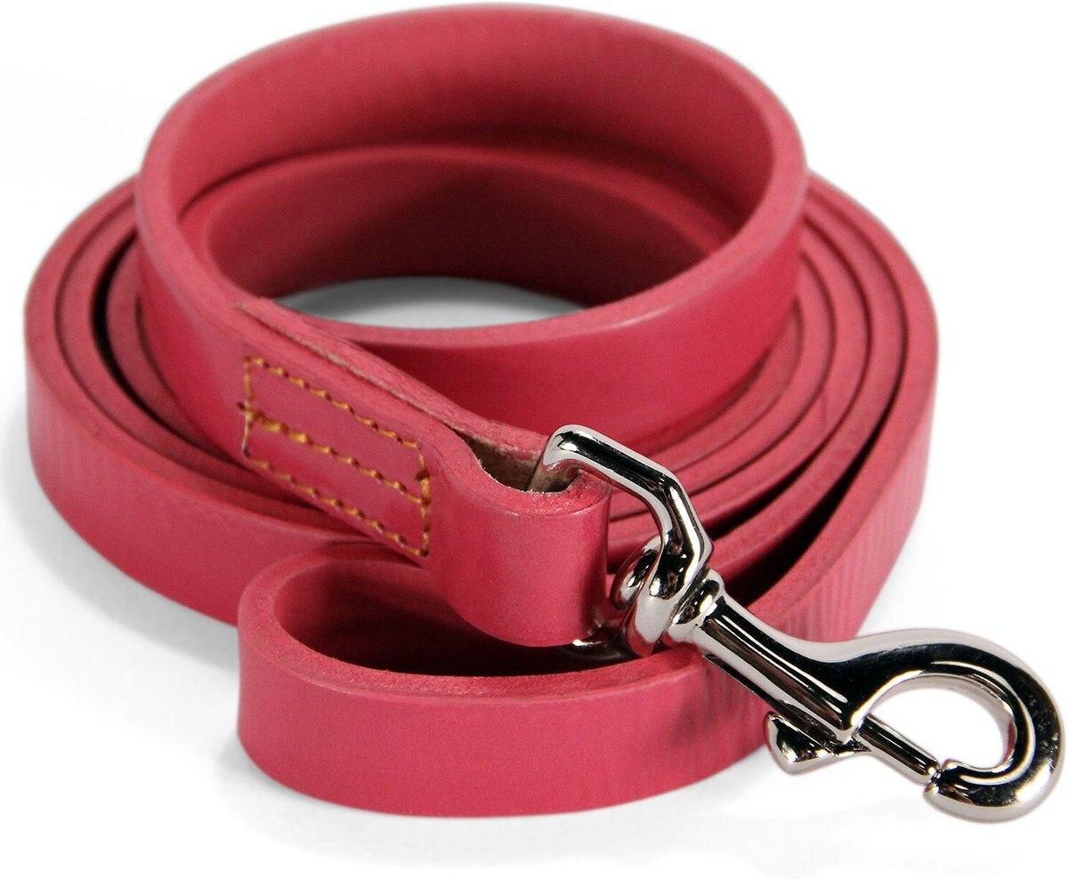 LOGICAL LEATHER Dog Leash, Pink, 6ft