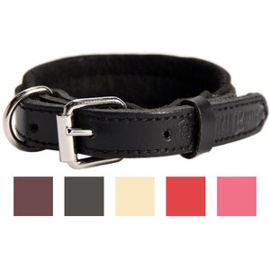 Logical Leather Padded Dog Collar, Black, X-Small