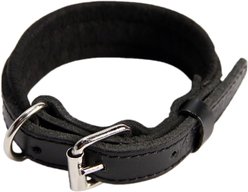 Logical Leather Padded Dog Collar, Black, X-Small slide 2 of 6