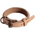 Logical Leather Padded Dog Collar, Tan, X-Small