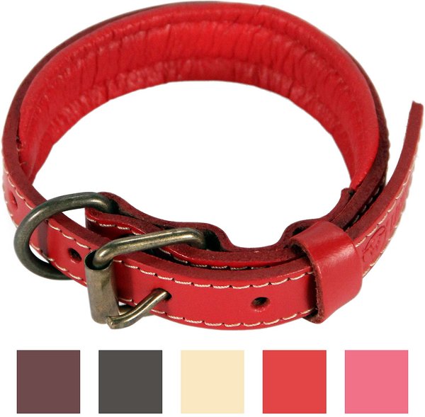 Logical Leather Padded Dog Collar, Red, Small slide 1 of 6