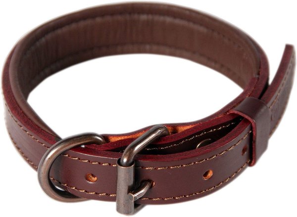 Discontinued - LOGICAL LEATHER Padded Dog Collar, Brown, Medium - Chewy.com