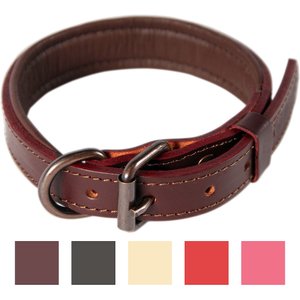 Logical Leather Padded Dog Collar, Brown, Medium