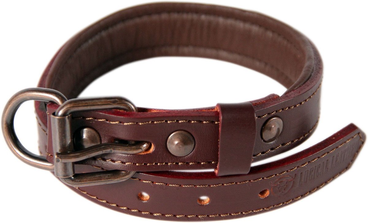 LOGICAL LEATHER Padded Dog Collar, Brown, Medium - Chewy.com