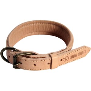 Logical Leather Padded Dog Collar, Tan, Medium