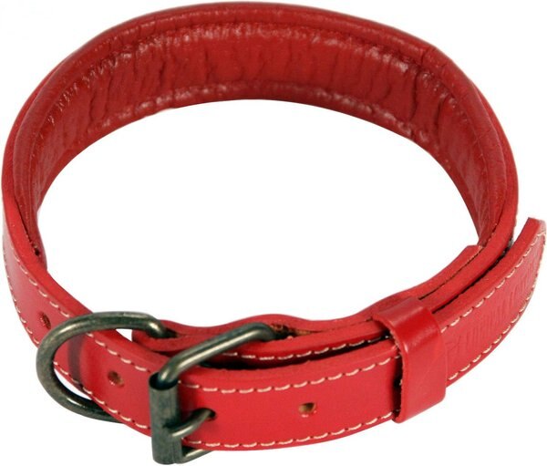 Logical Leather Padded Dog Collar, Red, Medium slide 1 of 7