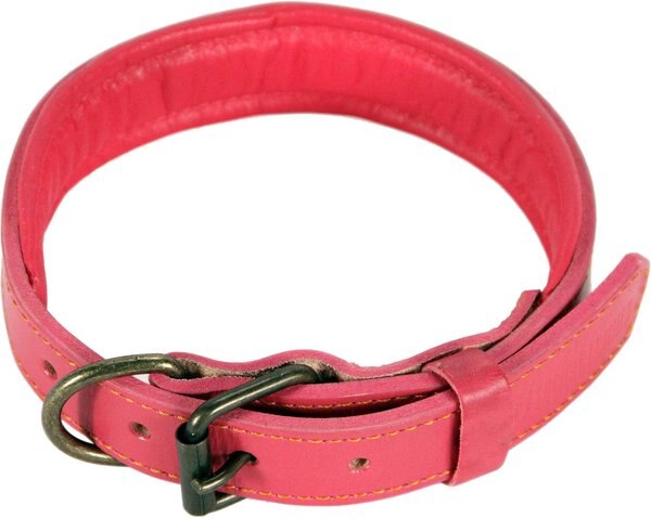 Logical Leather Padded Dog Collar, Pink, Medium slide 1 of 6