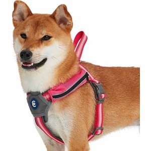 Frisco padded front lead dog harness hotsell