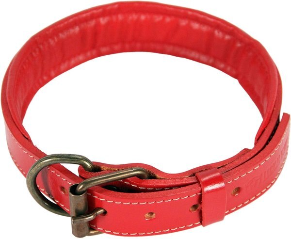 Logical Leather Padded Dog Collar, Red, Large slide 1 of 7