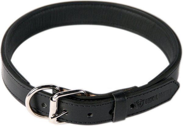 Logical Leather Padded Dog Collar, Black, X-Large slide 1 of 7