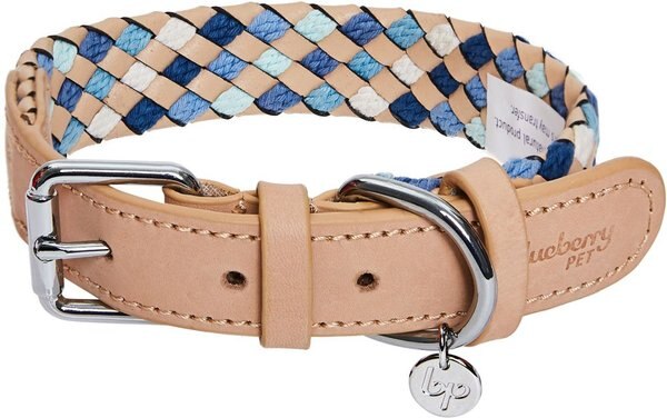 Blueberry Pet Braided Genuine Leather & Polyester Webbing Dog Collar