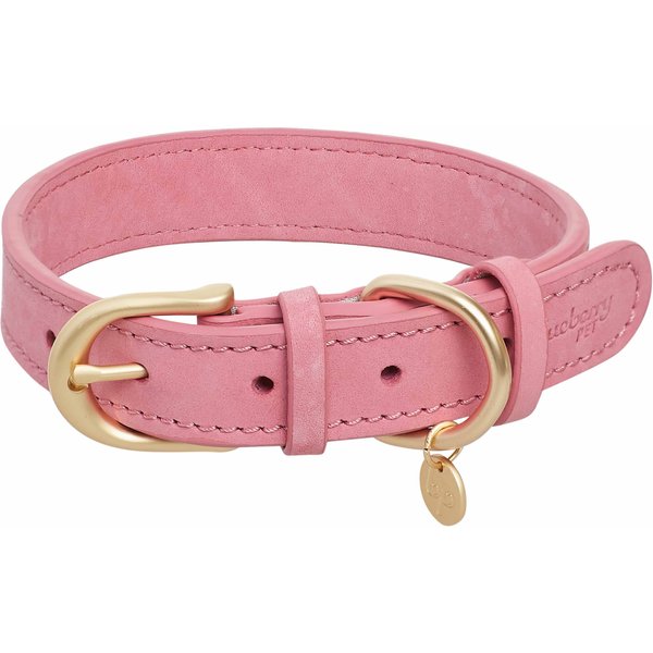 Blueberry Pet Soft & Comfy Genuine Leather Adjustable Dog Collar