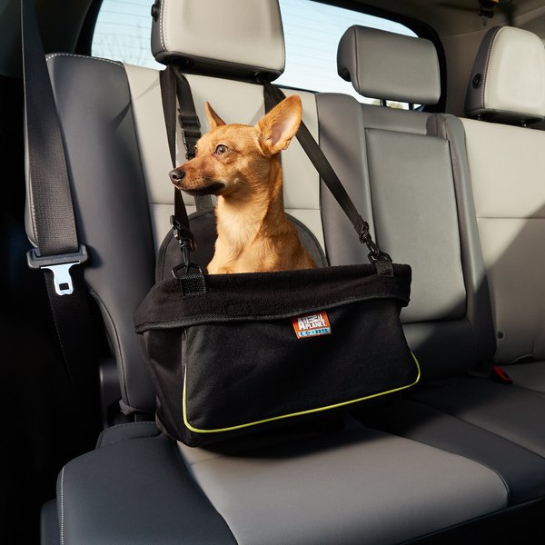 Discontinued - ANIMAL PLANET Dog Vehicle Booster Seat, Black with Green ...