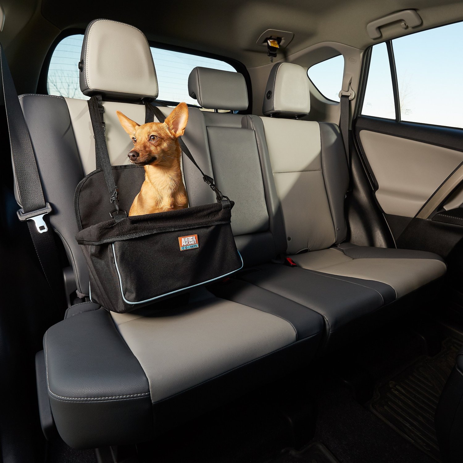 ANIMAL Dog Vehicle Booster Seat, Black with Blue Trim