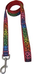 Sassy Dog Wear Leopard Dog Leash, Large, Rainbow slide 2 of 2