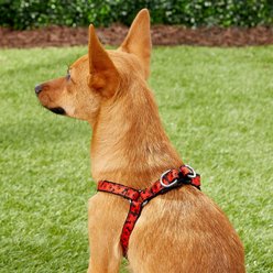 Sassy Dog Wear Paws & Bones Dog Harness, X-Small slide 2 of 4
