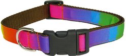 Sassy Dog Wear Rainbow Dog Collar, Medium, Rainbow