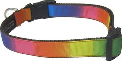 Sassy Dog Wear Rainbow Dog Collar, Medium, Rainbow slide 2 of 3