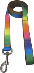 Sassy Dog Wear Rainbow Dog Leash, X-Small, Rainbow slide 2 of 2
