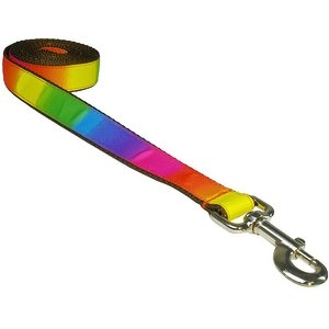 Sassy Dog Wear Rainbow Dog Leash, Medium, Rainbow
